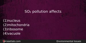 So Pollution Affects Biology Question