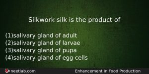 Silkwork Silk Is The Product Of Biology Question