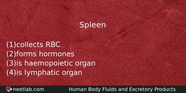 Spleen Biology Question 