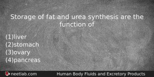 Storage Of Fat And Urea Synthesis Are The Function Of Biology Question