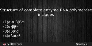 Structure Of Complete Enzyme Rna Polymerase Includes Biology Question