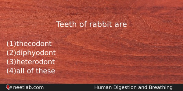 Teeth Of Rabbit Are Biology Question 