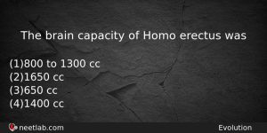 The Brain Capacity Of Homo Erectus Was Biology Question