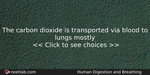 The Carbon Dioxide Is Transported Via Blood To Lungs Mostly Biology Question 
