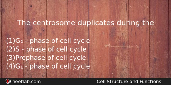 The Centrosome Duplicates During The Biology Question 