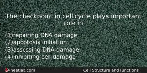 The Checkpoint In Cell Cycle Plays Important Role In Biology Question