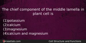 The Chief Component Of The Middle Lamella In Plant Cell Biology Question