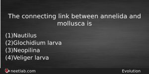 The Connecting Link Between Annelida And Mollusca Is Biology Question