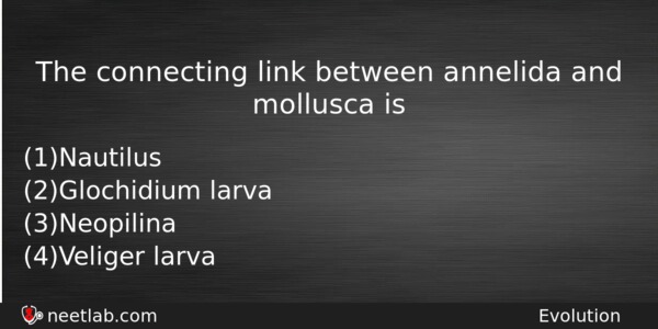 The Connecting Link Between Annelida And Mollusca Is Biology Question 