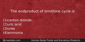 The Endproduct Of Ornithine Cycle Is Biology Question