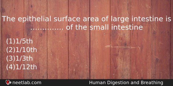 The Epithelial Surface Area Of Large Intestine Is Of Biology Question 