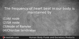 The Frequency Of Heart Beat In Our Body Is Maintained Biology Question