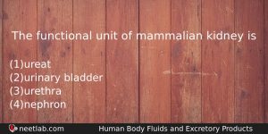 The Functional Unit Of Mammalian Kidney Is Biology Question