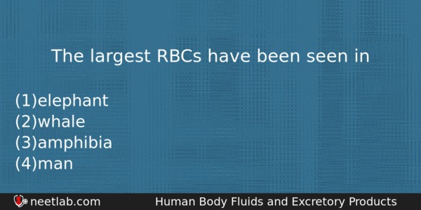 The Largest Rbcs Have Been Seen In Biology Question 