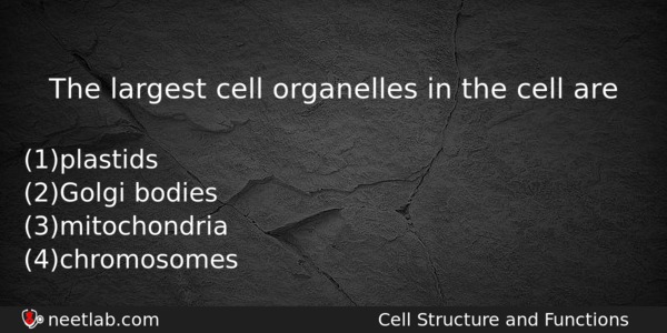 The Largest Cell Organelles In The Cell Are Biology Question 