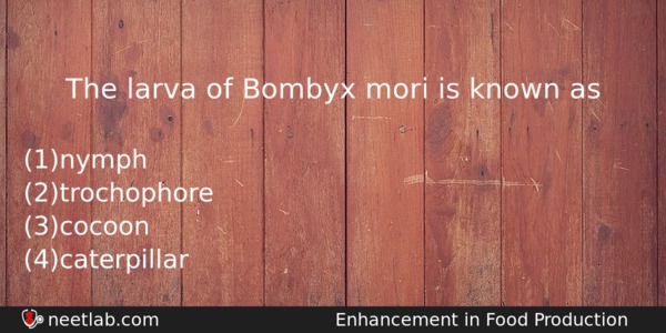 The Larva Of Bombyx Mori Is Known As Biology Question 