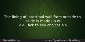The Lining Of Intestinal Wall From Outside To Inside Is Biology Question