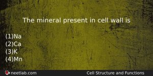 The Mineral Present In Cell Wall Is Biology Question