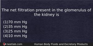 The Net Filtration Present In The Glomerulus Of The Kidney Biology Question