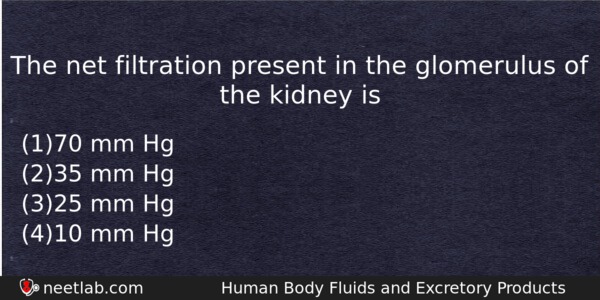 The Net Filtration Present In The Glomerulus Of The Kidney Biology Question 