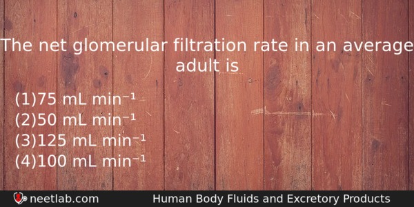 The Net Glomerular Filtration Rate In An Average Adult Is Biology Question 