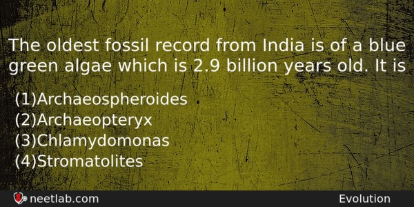 The Oldest Fossil Record From India Is Of A Blue Biology Question 