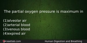 The Partial Oxygen Pressure Is Maximum In Biology Question