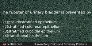 The Ruputer Of Urinary Bladder Is Prevented By Biology Question