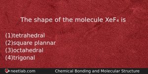The Shape Of The Molecule Xef Is Chemistry Question