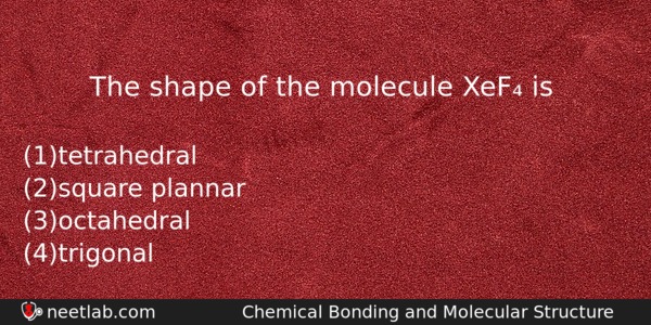 The Shape Of The Molecule Xef Is Chemistry Question 