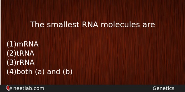 The Smallest Rna Molecules Are Biology Question 