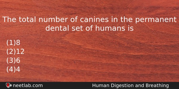 The Total Number Of Canines In The Permanent Dental Set Biology Question 