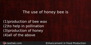 The Use Of Honey Bee Is Biology Question