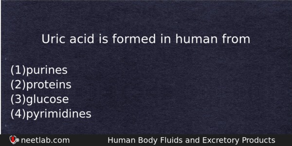 Uric Acid Is Formed In Human From Biology Question 