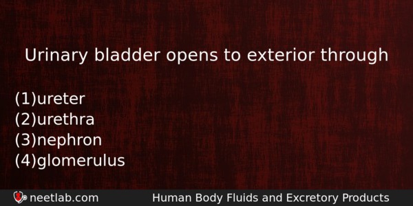 Urinary Bladder Opens To Exterior Through Biology Question 