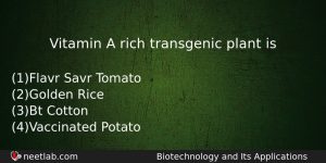 Vitamin A Rich Transgenic Plant Is Biology Question