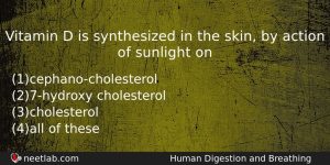 Vitamin D Is Synthesized In The Skin By Action Of Biology Question