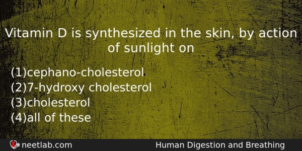 Vitamin D Is Synthesized In The Skin By Action Of Biology Question 