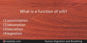 What Is A Function Of Villi Biology Question