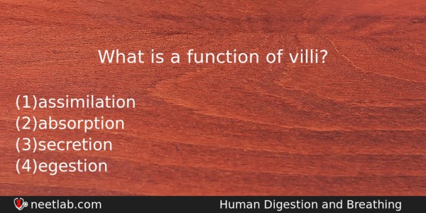 What Is A Function Of Villi Biology Question 