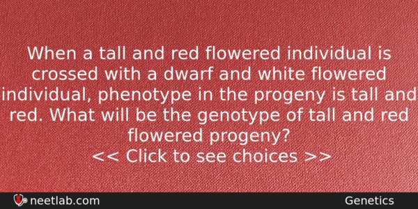 When A Tall And Red Flowered Individual Is Crossed With Biology Question 