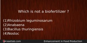 Which Is Not A Biofertilizer Biology Question