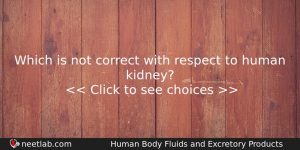 Which Is Not Correct With Respect To Human Kidney Biology Question