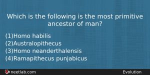 Which Is The Following Is The Most Primitive Ancestor Of Biology Question