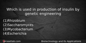 Which Is Used In Production Of Insulin By Genetic Engineering Biology Question