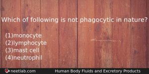 Which Of Following Is Not Phagocytic In Nature Biology Question
