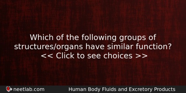 Which Of The Following Groups Of Structuresorgans Have Similar Function Biology Question 