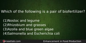 Which Of The Following Is A Pair Of Biofertilizer Biology Question
