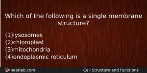 Which Of The Following Is A Single Membrane Structure Biology Question