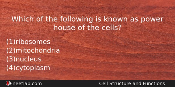 Which Of The Following Is Known As Power House Of Biology Question 